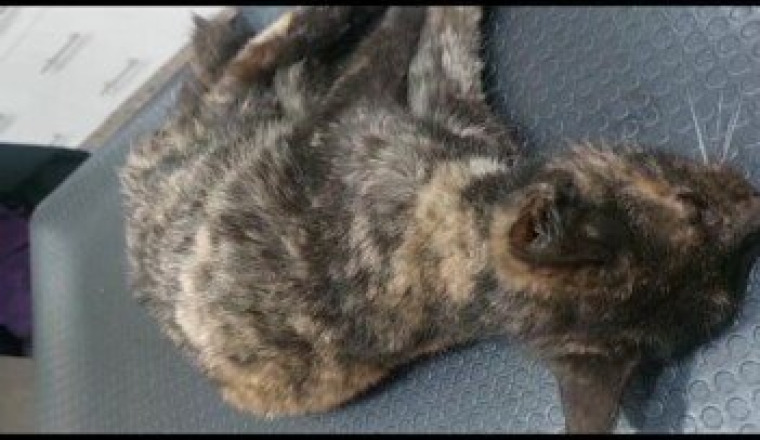 Une goutte d'espoir pour Mina
