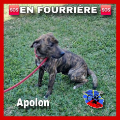 Image justificative de la cagnotte