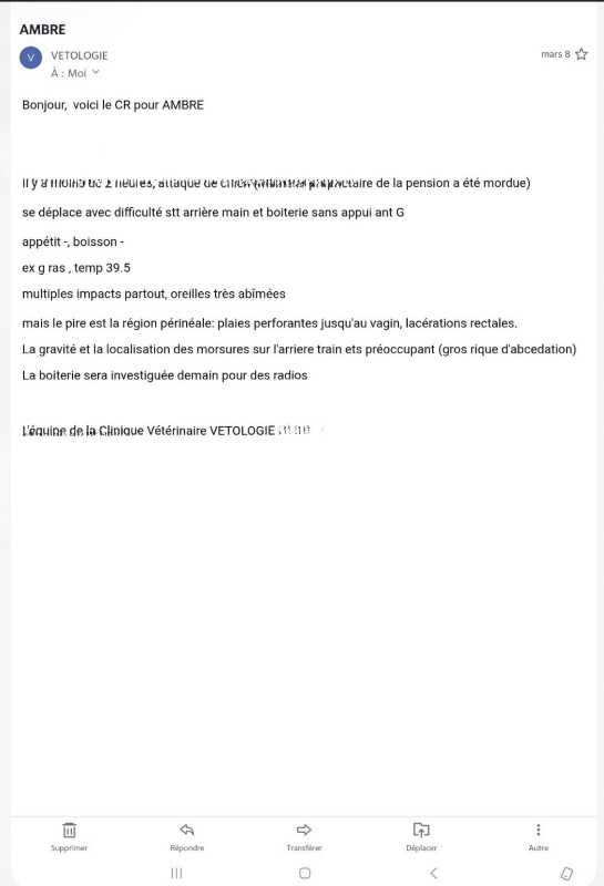 Image justificative de la cagnotte