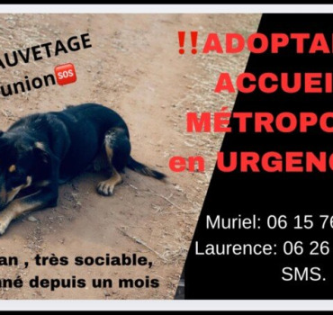 UN AN ET DÉJÀ A LA RUE