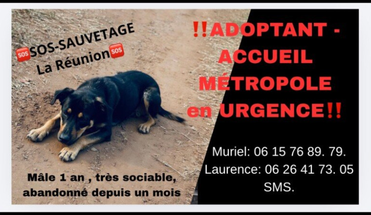 UN AN ET DÉJÀ A LA RUE