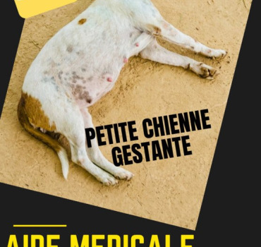 ABANDONNÉE GESTANTE