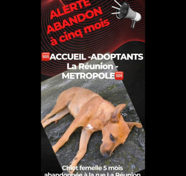 Abandonnée à 5 mois
