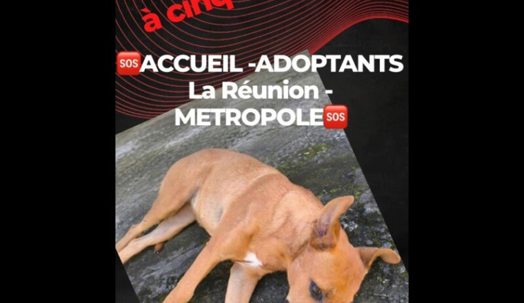 Abandonnée à 5 mois