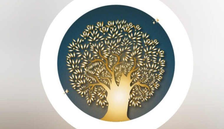 Projet solidaire cursus scolaire de l'Olivier