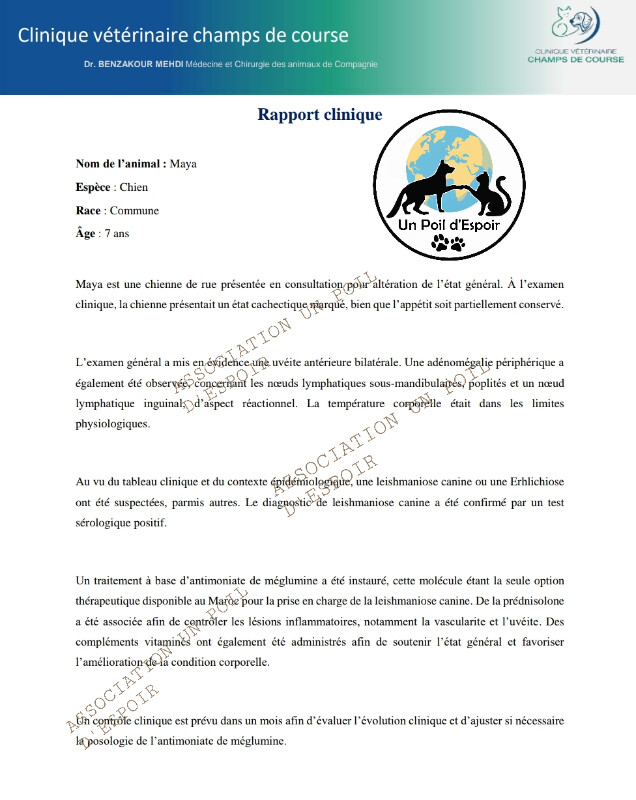 Fundraising proof image