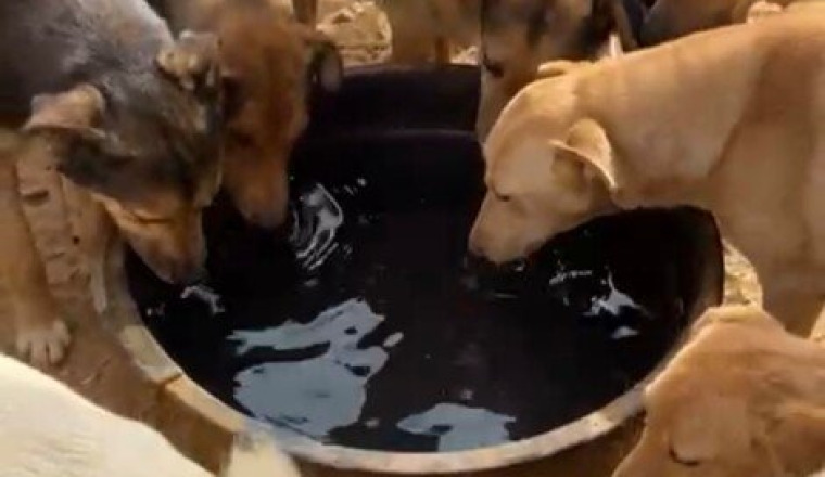 De l'eau pour le sanctuaire