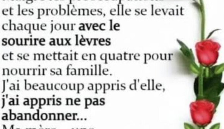 🩶 En mémoire à Fanta maman de tous les enfants