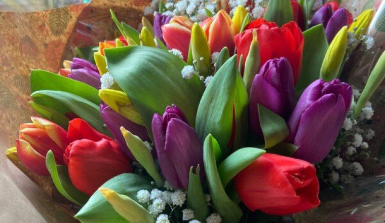 Anniversaire mamie Brigitte