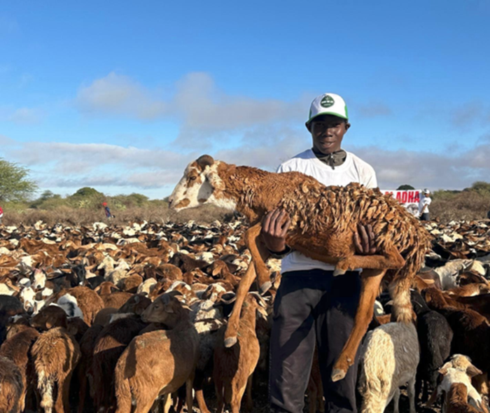 Image justificative de la cagnotte