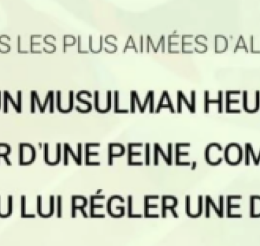 Dette d'un Sheikh