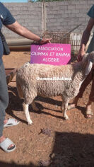Image justificative de la cagnotte