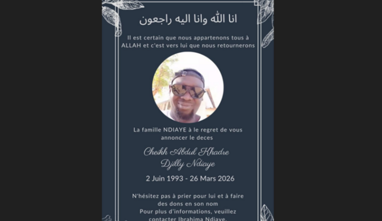 Cagnotte en l'honneur de Djilly pour un orphelinat