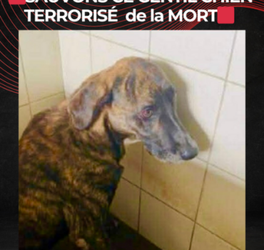 AIDONS LE A VIVRE