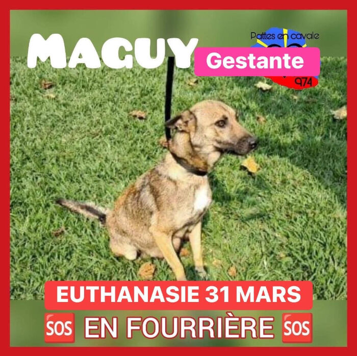 Image justificative de la cagnotte