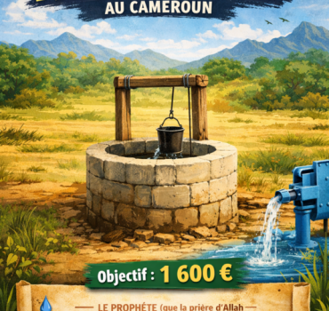Un puit pour Koumegwa