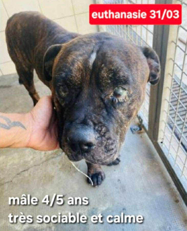 Image justificative de la cagnotte