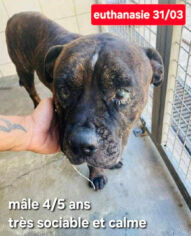Image justificative de la cagnotte
