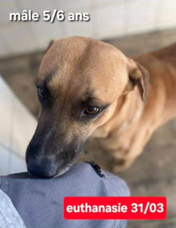 Image justificative de la cagnotte