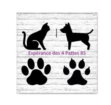 Sortez nous vite de fourrière SVP !!