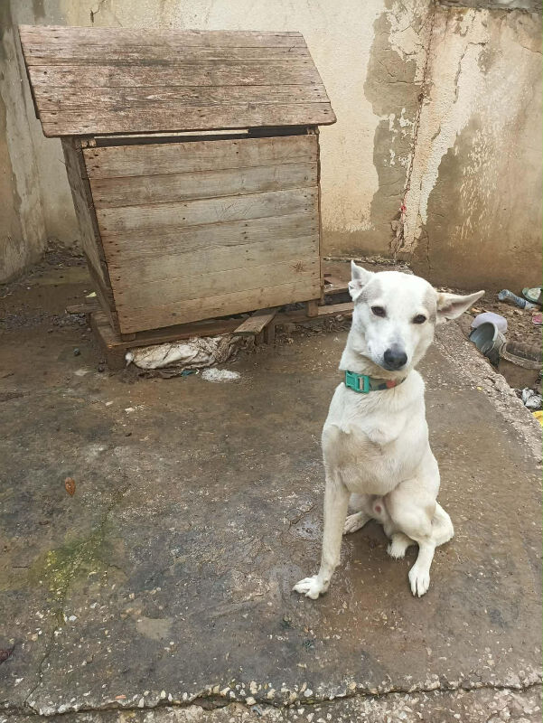 Image justificative de la cagnotte