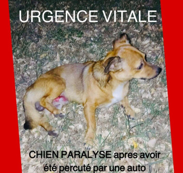 Percuté et paralysé