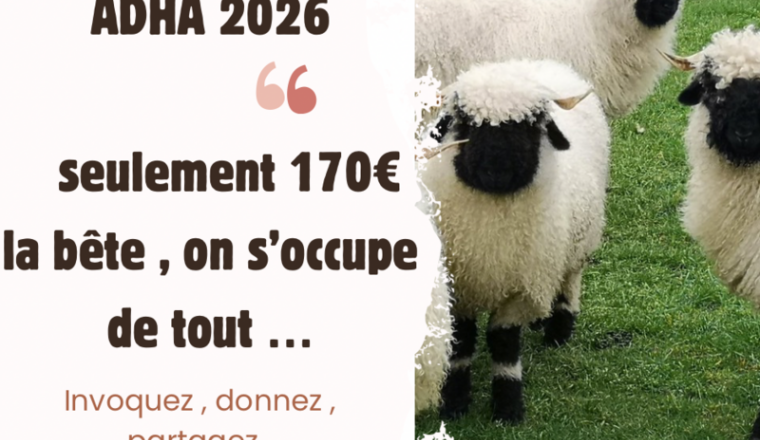 AÏD ADHA 2026