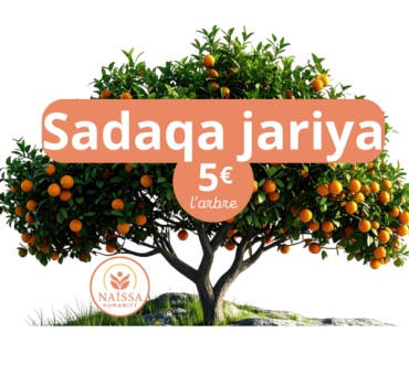 SADAQA JARIYA - ARBRE