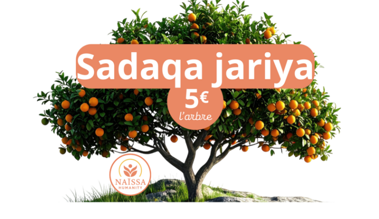 SADAQA JARIYA - ARBRE