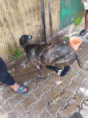 Image justificative de la cagnotte