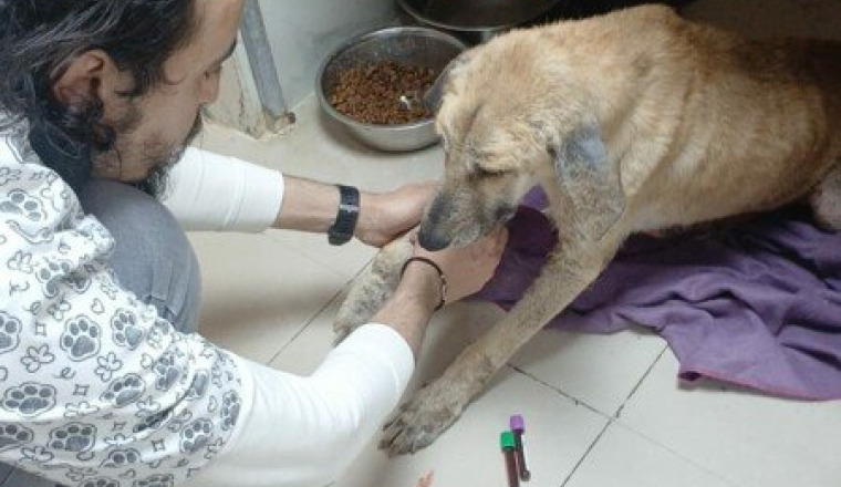 SOINS POUR CYBÈLE et CHANCE