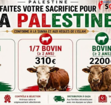 Offrir un sacrifice pour Palestine – Aïd 2026