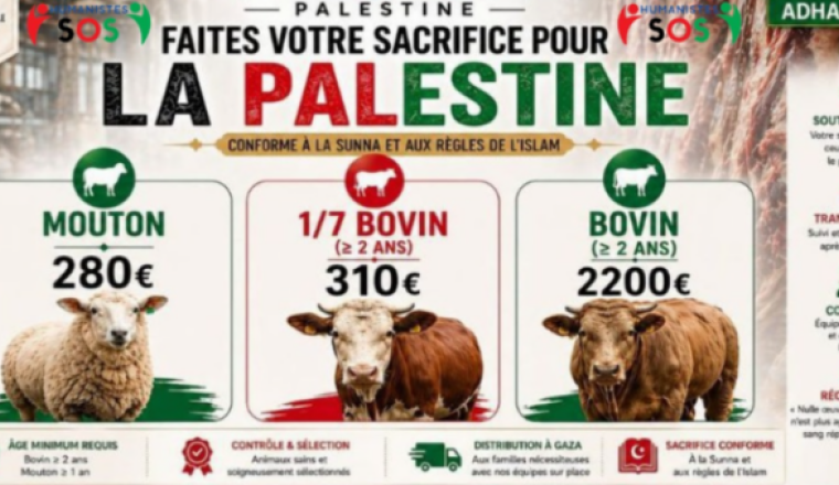 Offrir un sacrifice pour Palestine – Aïd 2026