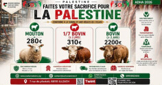 Image justificative de la cagnotte