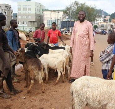 Aïd al-Adha. Une journée à l’abri du besoin - MALI