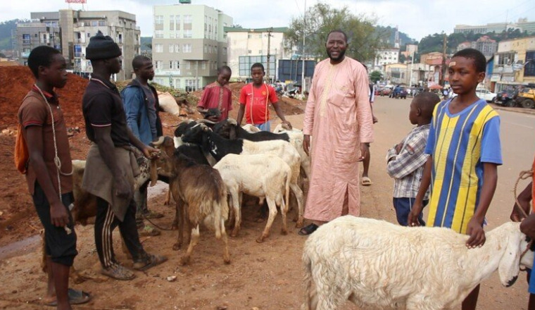 Aïd al-Adha. Une journée à l’abri du besoin - MALI