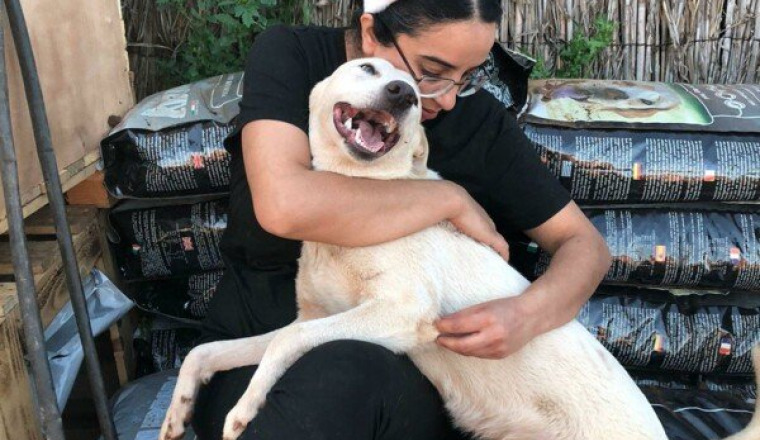 Soutenir Hajar - Sauver des centaines d’animaux