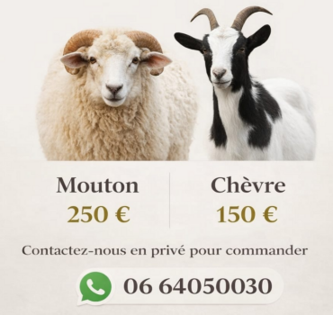 Sadaqa viande pour l'Aïd 2026 🇲🇦