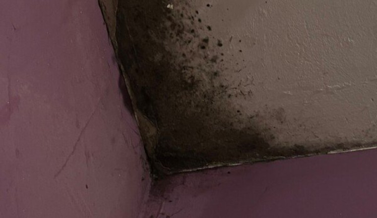 Aider une famille à sortir d’un logement insalubre