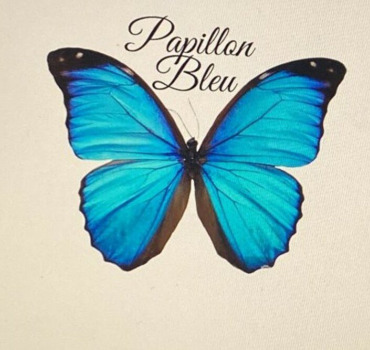 Soutien au centre Papillon Bleu