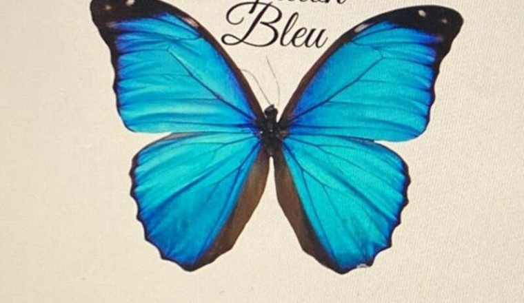 Soutien au centre Papillon Bleu