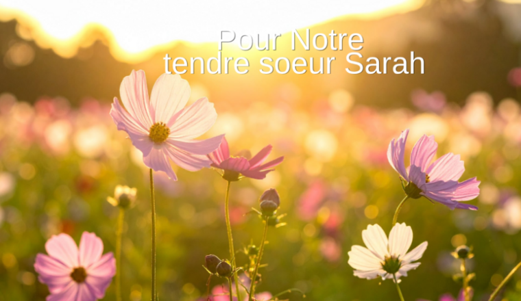 Pour notre tendre soeur Sarah