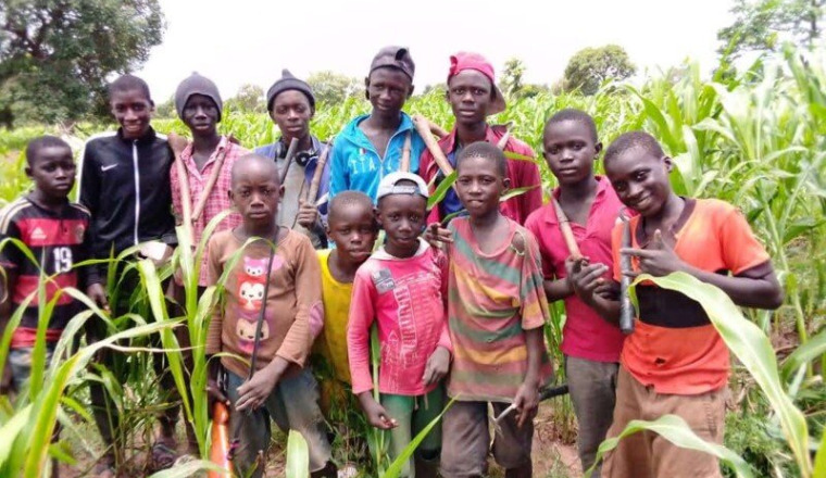 Agriculture pour les plus démunis en Gambie