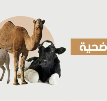 🚨Plus que 3 semaines :Aïd solidaire en Algérie