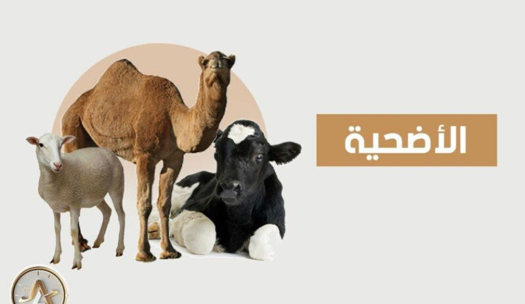 🚨Plus que 3 semaines :Aïd solidaire en Algérie