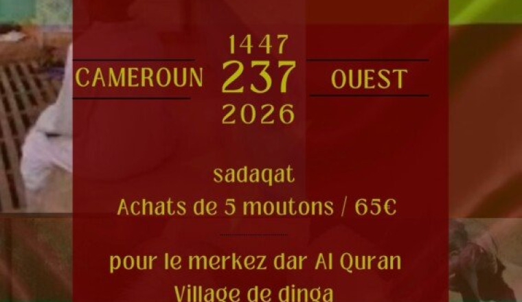 Achat de mouton au Cameroun Eid Al-adha 1447