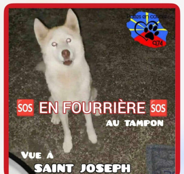 Sauvons Sam‼️🚨🆘🆘🚨