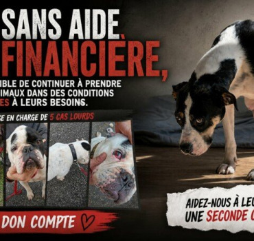5 cas lourds, sans vous on ne tiendra pas