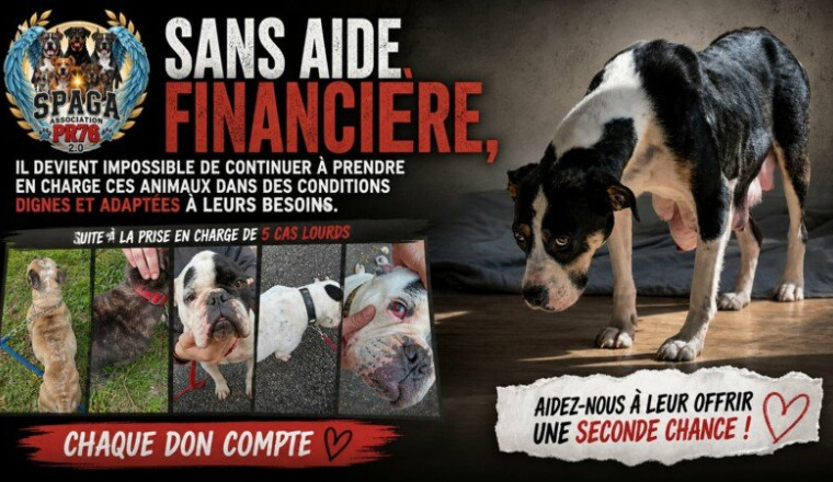 5 cas lourds, sans vous on ne tiendra pas