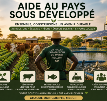Aide au pays sous développé